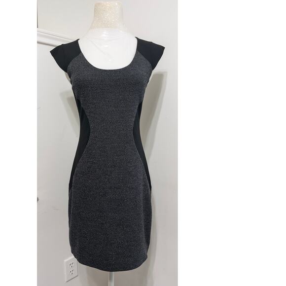 NWT Express Colorblock Sheath Dress - Sculpting Fit, Office to Evening sz 4 - Picture 1 of 4